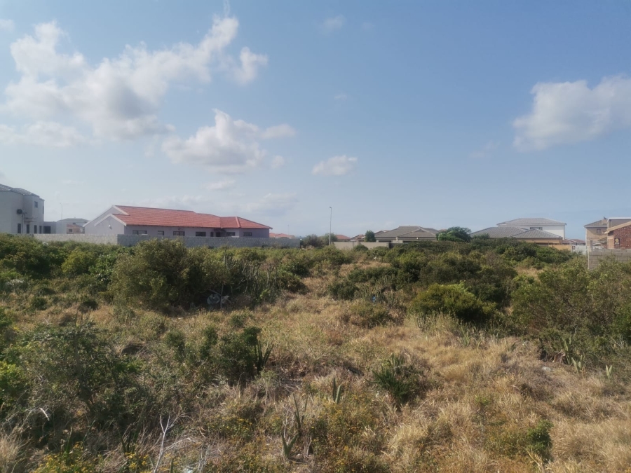 0 Bedroom Property for Sale in Bluewater Bay Eastern Cape